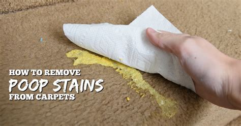 How To Remove Feces Stains From Bed Sheets