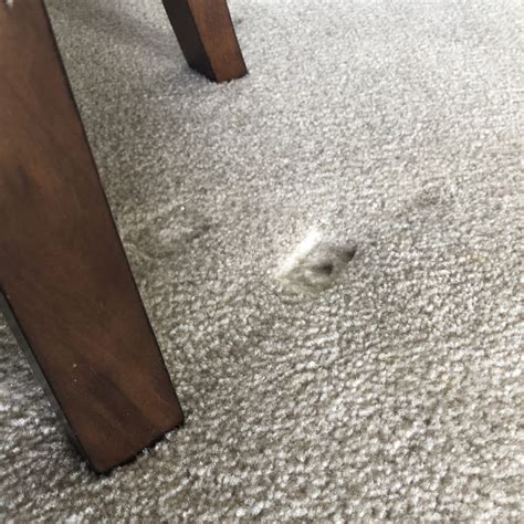 How To Remove Furniture Dents In The Carpet