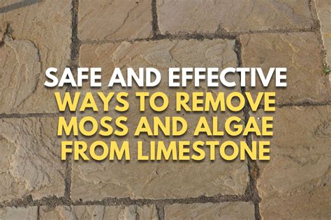 How To Remove Green Algae From Limestone