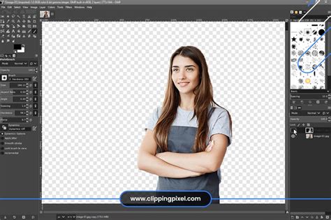 How To Remove Image Background In Gimp