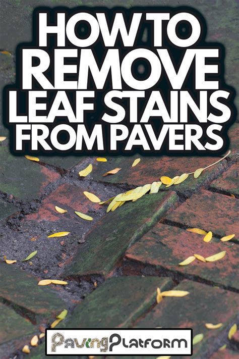 How To Remove Leaf Stains