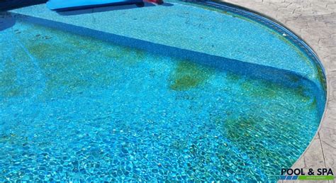 How To Remove Leaf Stains From Pool