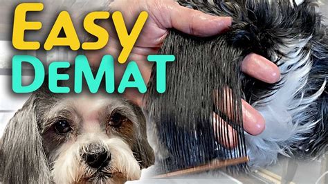How To Remove Mat On Dog