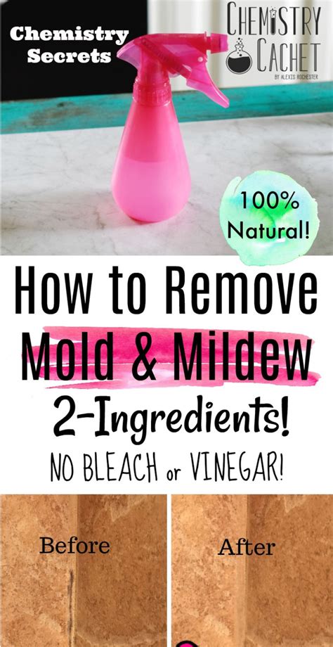 How To Remove Mold/Mildew From Wall