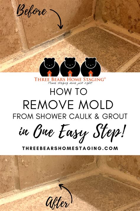 How To Remove Mold From Caulk And Grout