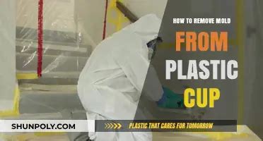 How To Remove Mold From Plastic Cup
