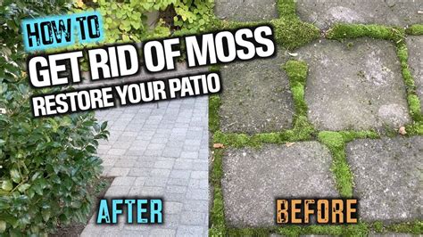 how to remove moss from concrete pavers