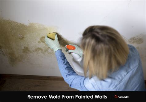 How To Remove Mould From A Bedroom Wall
