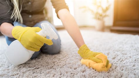 How To Remove Mud Stains From Carpet