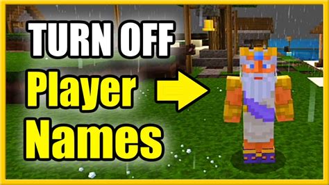 How To Remove Name Tags In Minecraft
