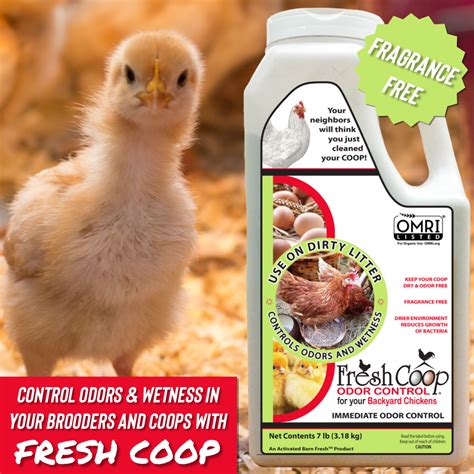 How To Remove Odor From Chicken