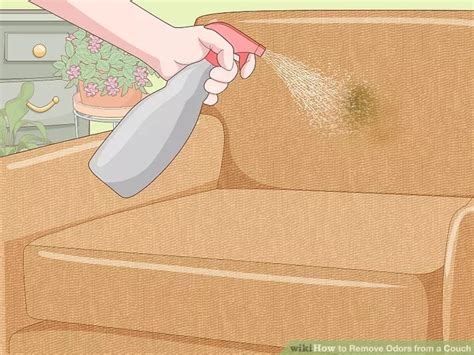 How To Remove Odors In A Couch