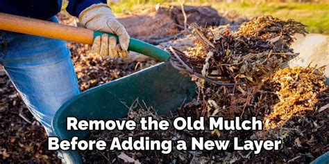 How To Remove Old Mulch And Replace With New Mulch