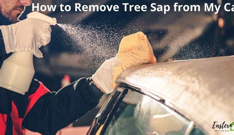 How To Remove Old Tree Sap From A Car