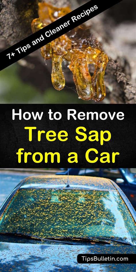 How To Remove Palm Tree Sap From Car