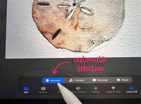 how to remove part of an image on procreate