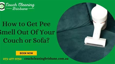 How To Remove Pee Couch