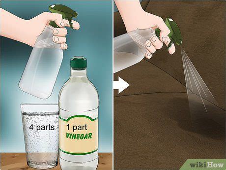 How To Remove Pee Odor From Couch