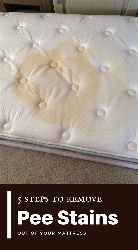 How To Remove Pee Stains From Comforter
