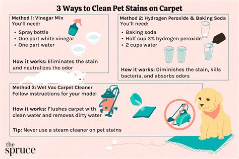 How To Clean Food & Pet Stains From A Wool Rug Wool rug