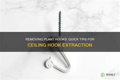 How To Remove Plant Hooks From Ceiling