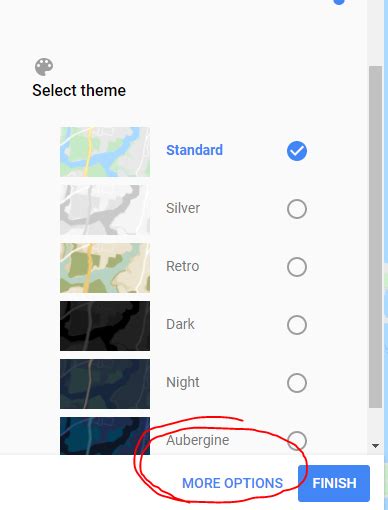 how to remove points of interest from google maps