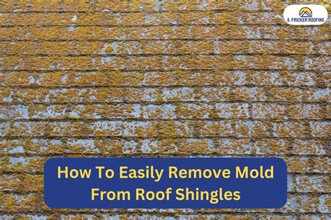 How To Remove Roof Mold