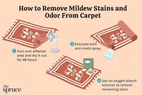 How To Remove Rug Odor