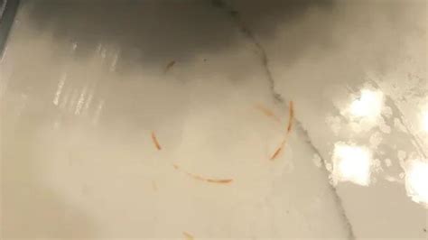 How To Remove Rust Stains On Quartz