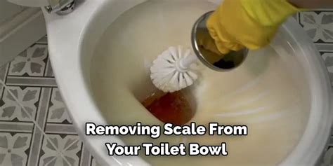 How To Remove Scale From Bottom Of Toilet