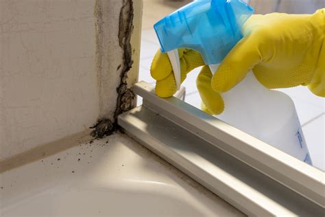 How To Remove Shower Mould