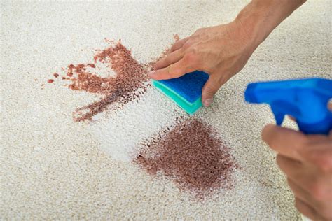 How To Remove Sick From A Carpet
