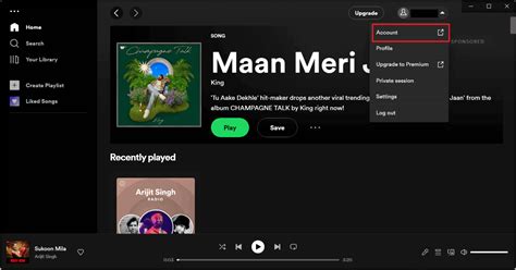 how to remove spotify access from websites