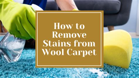 How To Remove Stains From A Wool Carpet