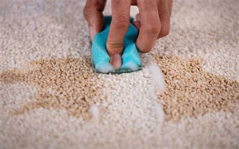 How To Remove Stains From Carpet