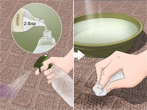 How To Remove Stains From Stainmaster Carpet