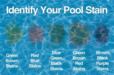 How To Remove Stains In The Pool