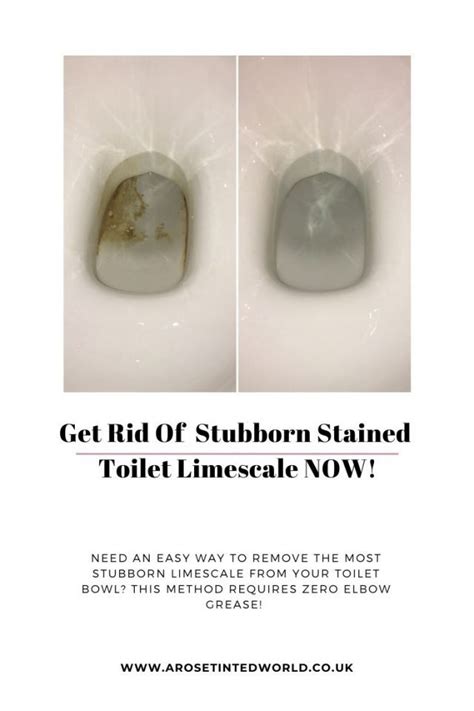 How To Remove Stubborn Limescale From Toilet