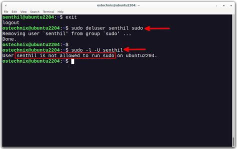 how to remove sudo access for a user in linux