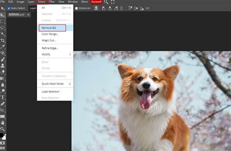 how to remove text from image without removing background in photopea
