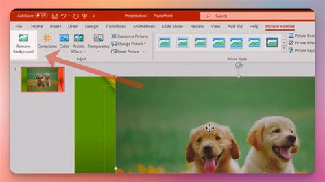 how to remove the background of a picture in powerpoint on mac
