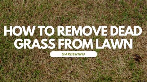 How To Remove The Dead Grass