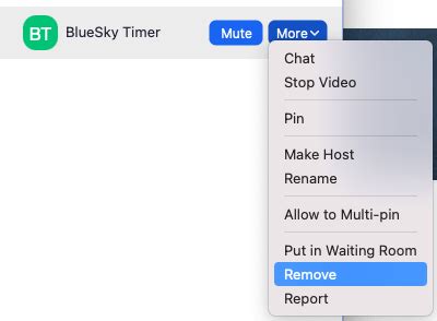 How To Remove The Timer On Zoom