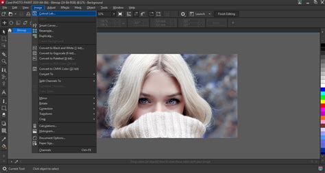 How To Remove The White Background From A Picture In Coreldraw