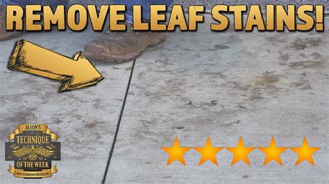 How To Remove Tree Leaf Stains From Concrete