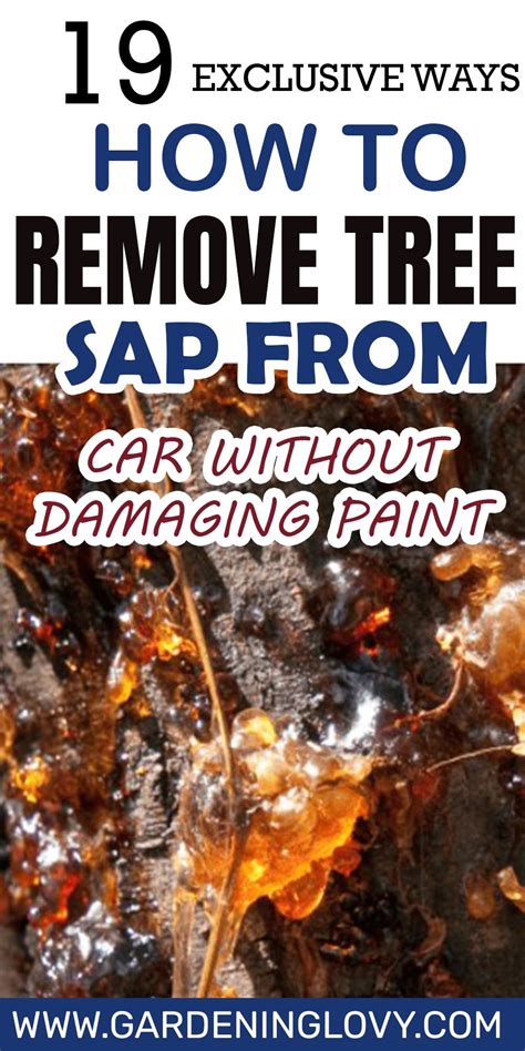 How To Remove Tree Sap From Brick