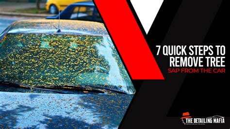 How To Remove Tree Sap From Car Wrap