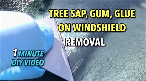 How To Remove Tree Sap From Glass Windows