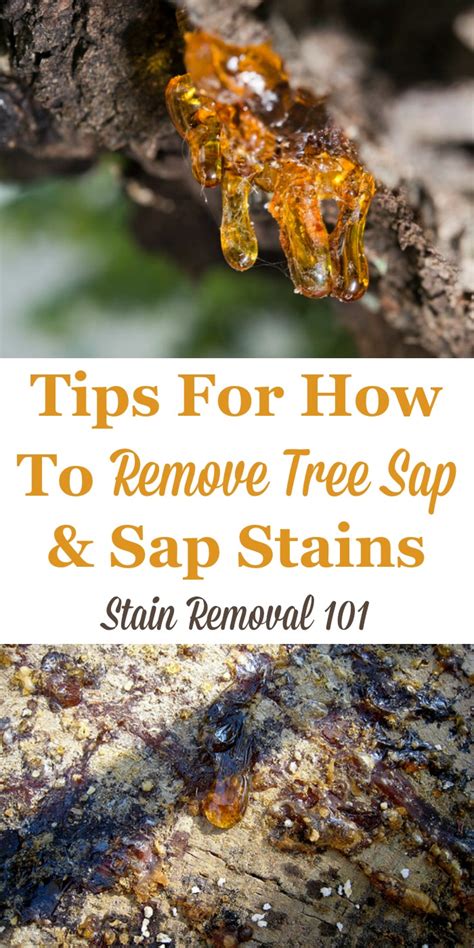 How To Remove Tree Sap From Material