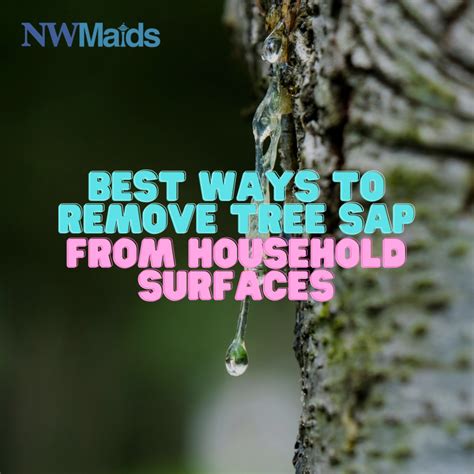 How To Remove Tree Sap From Painted Surfaces